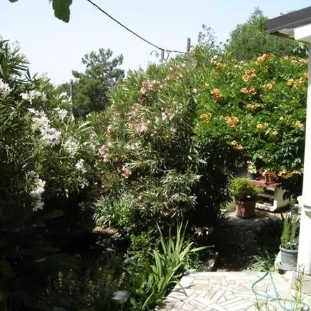 Ferienhaus Ruhiges In *